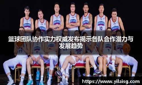篮球团队协作实力权威发布揭示各队合作潜力与发展趋势